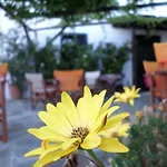 Vera's Traditional House Apartamento *