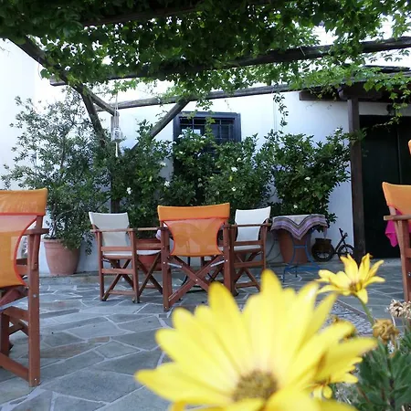 Vera's Traditional House Apartment Zagora