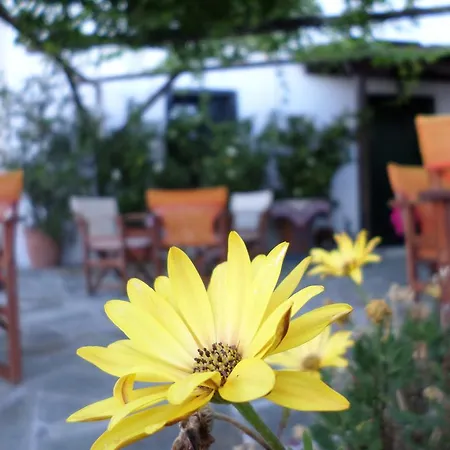 Vera's Traditional House Διαμέρισμα *