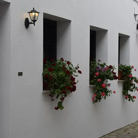 Vera's Traditional House