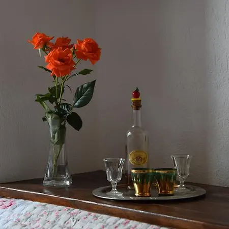 Apartment Vera's Traditional House Zagora