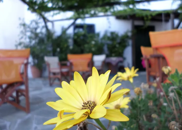 Vera's Traditional House Apartmán *