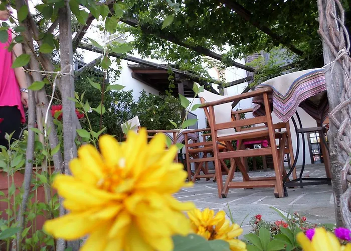 Apartmán Vera's Traditional House