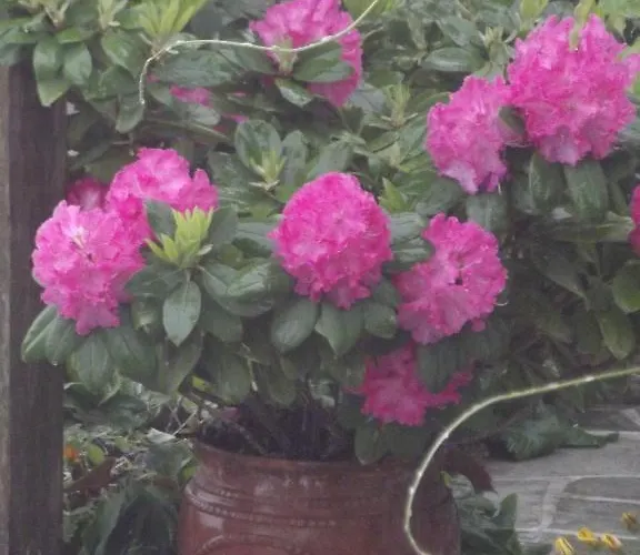 Vera's Traditional House Apartmán Zagora